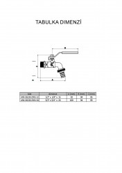ark-06130-zws